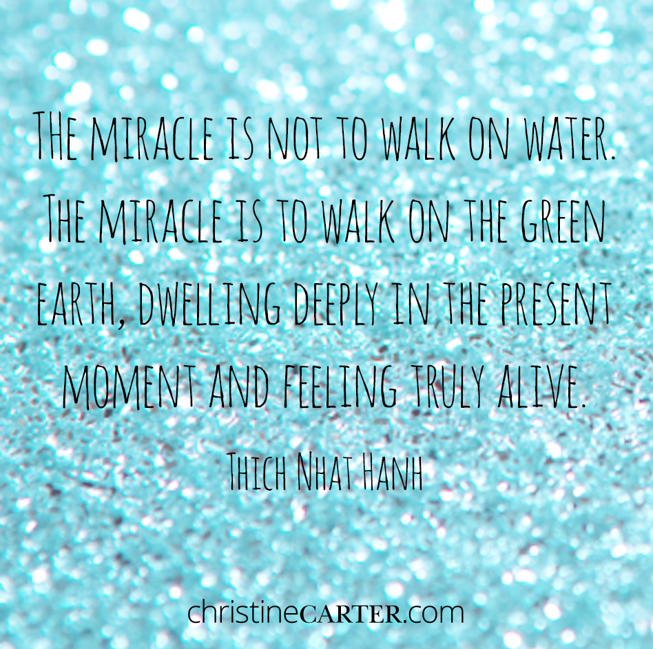 "The miracle is not to walk on water. The miracle is to walk on the green earth, dwelling deeply in the present moment and feeling truly alive." --Thich Nhat Hanh