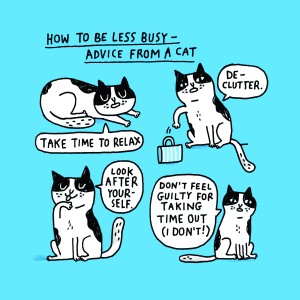 catadvice_CMYK