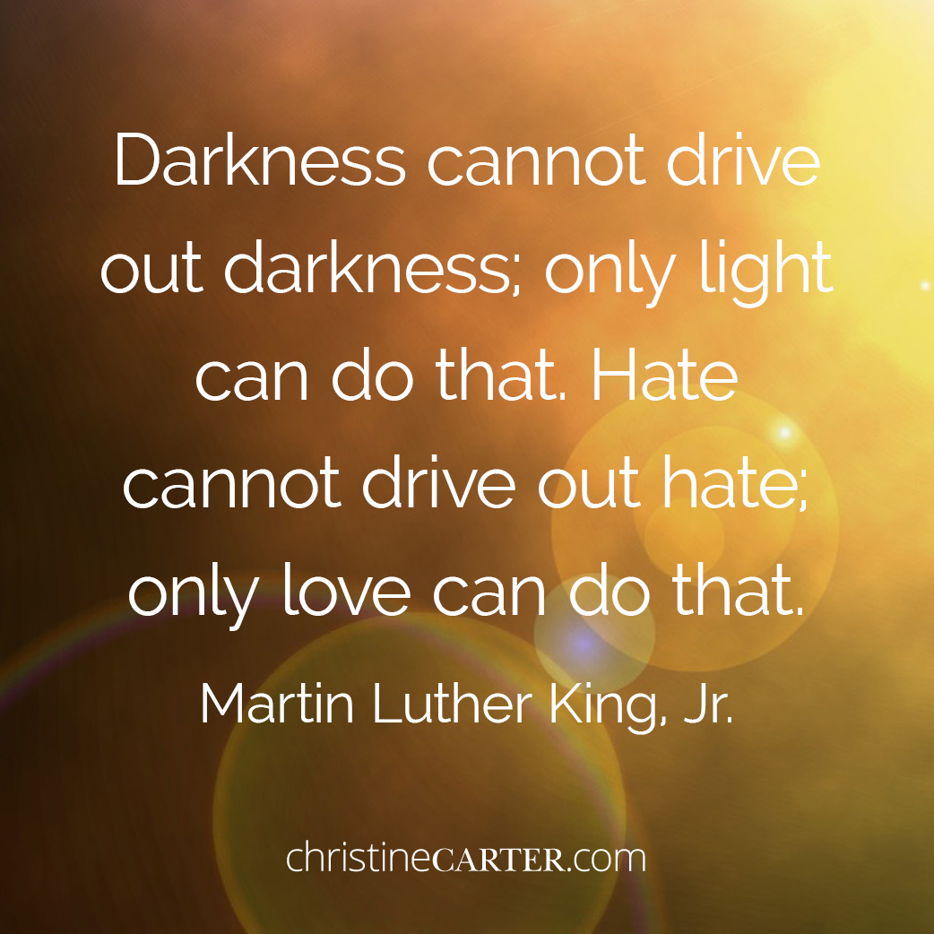 Darkness cannot drive out darkness; only light can do that. Hate cannot drive out hate; only love can do that. Martin Luther King, Jr.