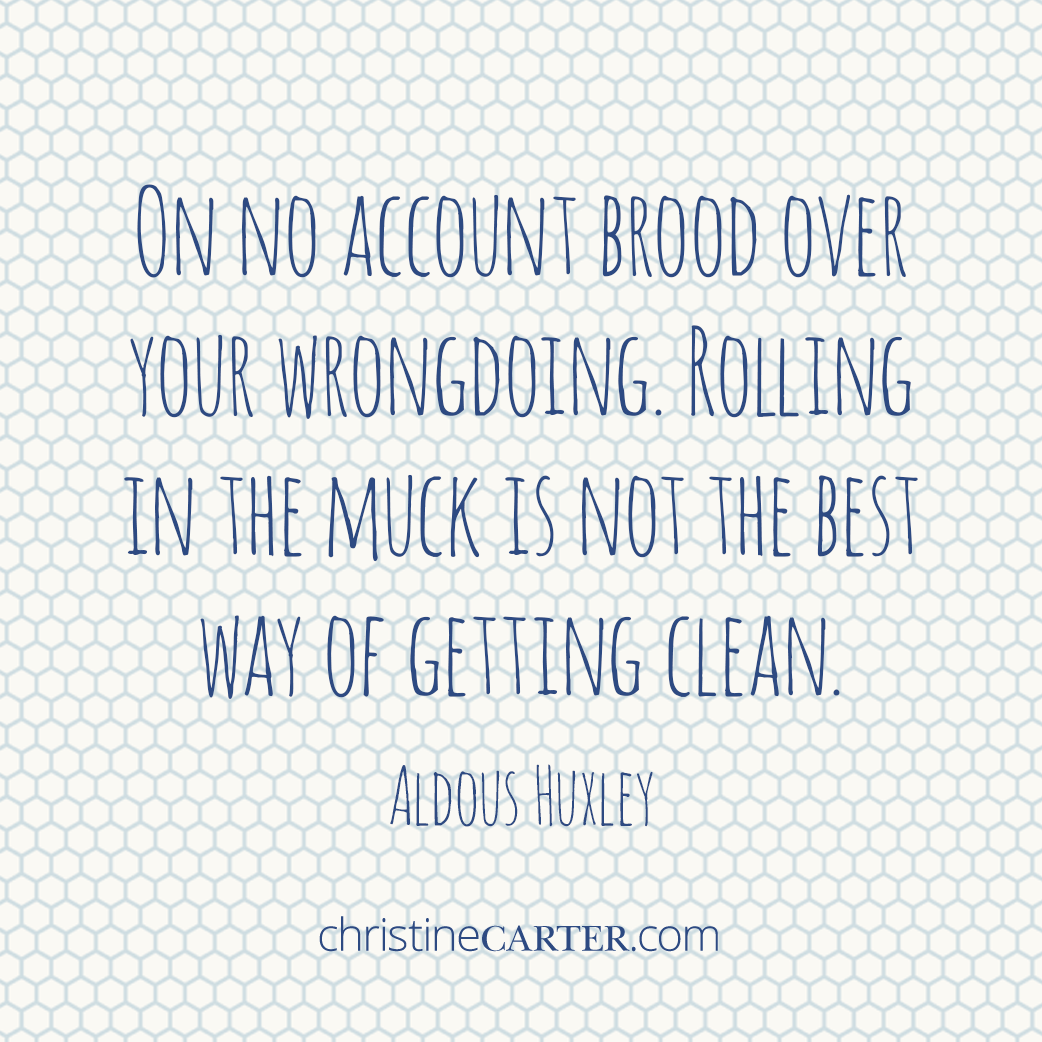 On no account brood over your wrongdoing. Rolling in the muck is not the best way of getting clean." --Aldous Huxley