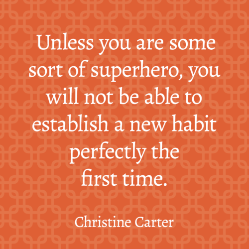 Unless you are some sort of superhero, you will not be able to establish a new habit perfectly the first time. 
